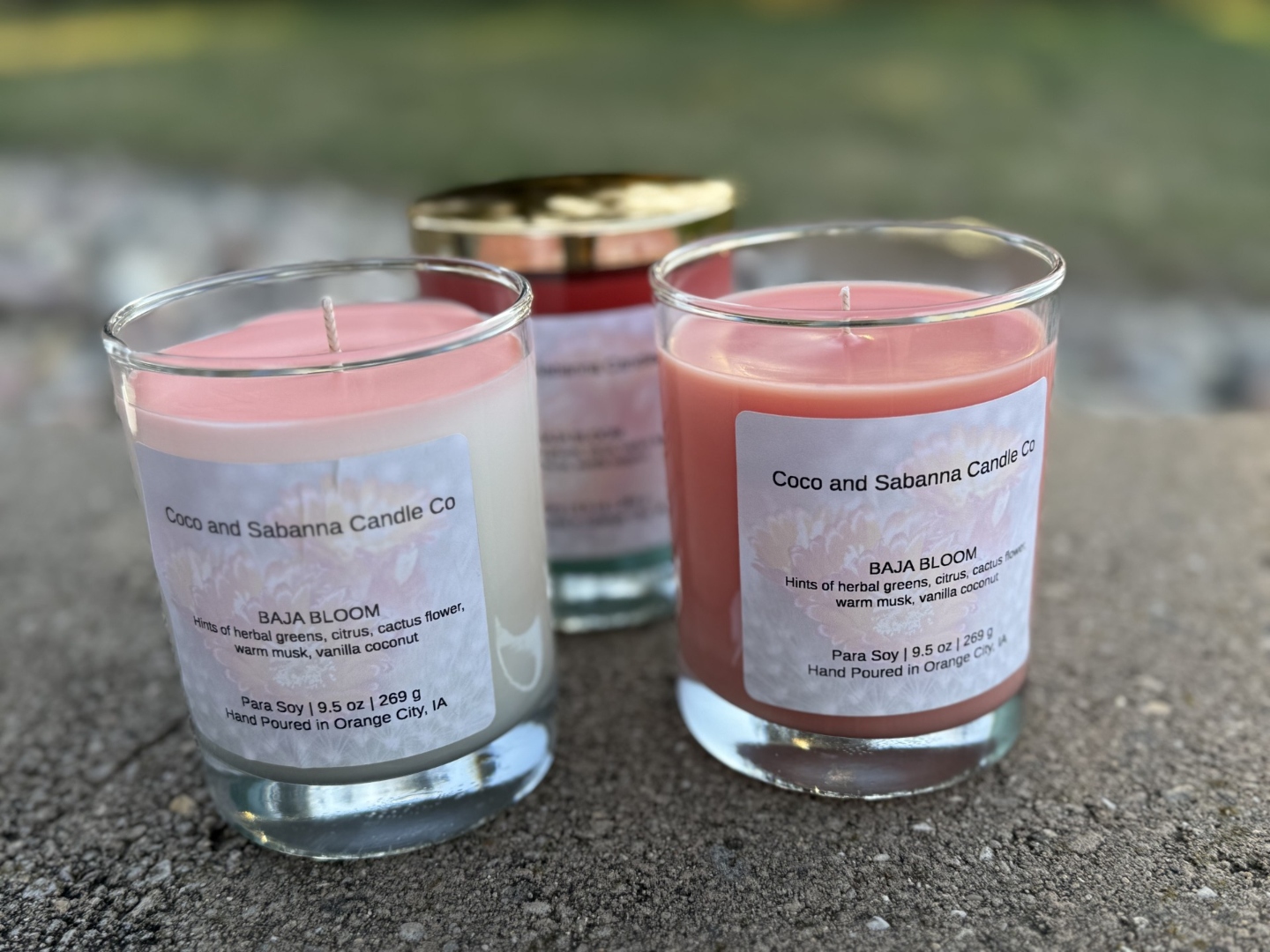 Baja Bloom — Herbal Greens · Cactus Flower · Vanilla Coconut candle